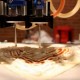 BeeHex Chef3D 製作3D打印Pizza