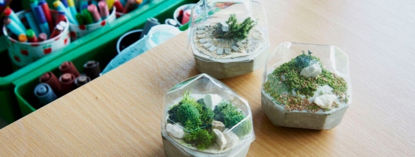 怎樣透過真空吸塑讓學生製作小盆栽？