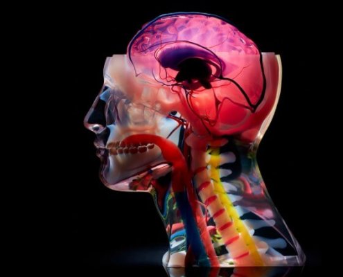 Stratasys J750 Digital Anatomy 醫療解剖模型3D打印機