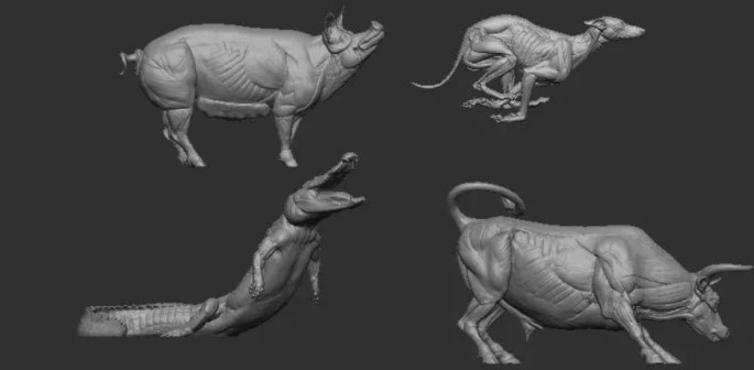Shining3D-x-非常博物館-3D掃描的動物標本，神奇動物