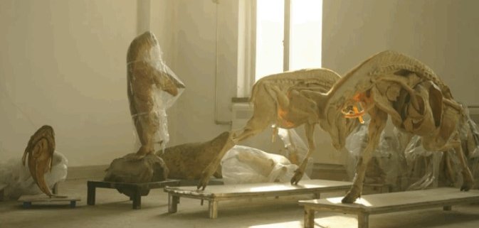 Shining3D-x-非常博物館-3D掃描的動物標本，神奇動物