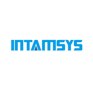 Logo-Intamsys